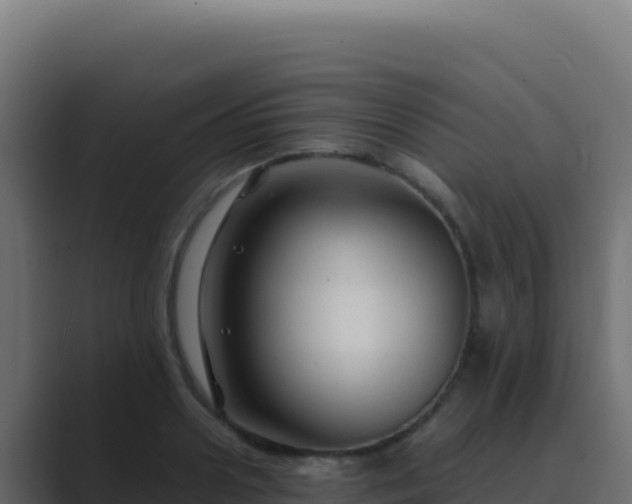 X0000089750938200706281623