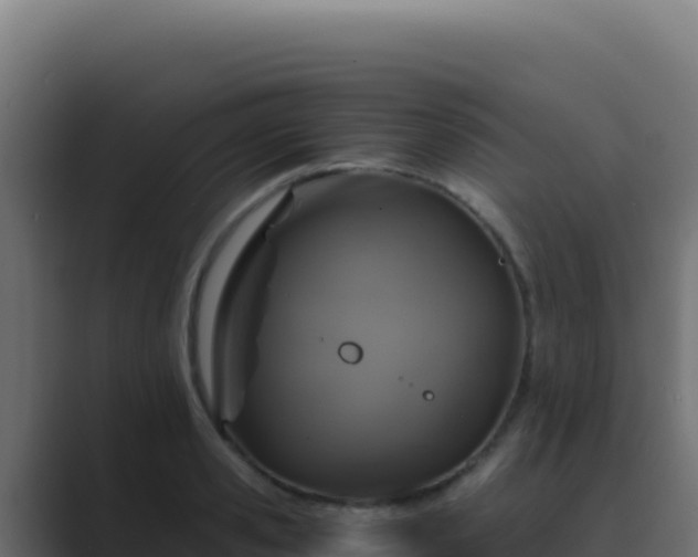 X0000089750941200706281623