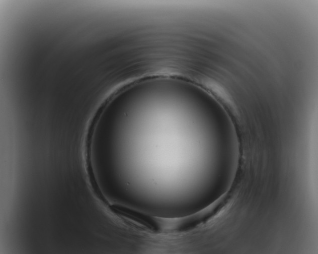 X0000089750942200706281623