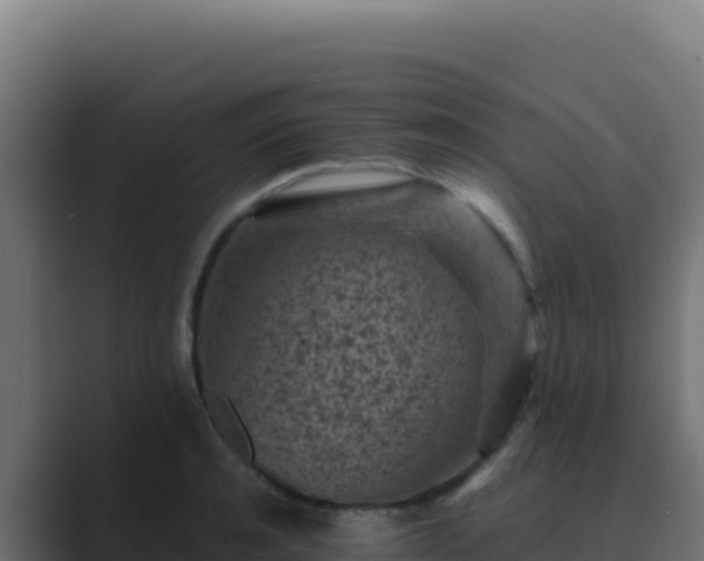 X0000089750944200706281623