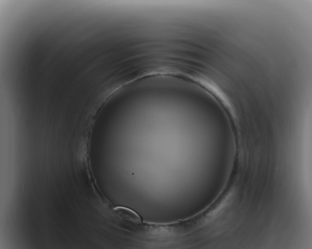 X0000089750945200706281623