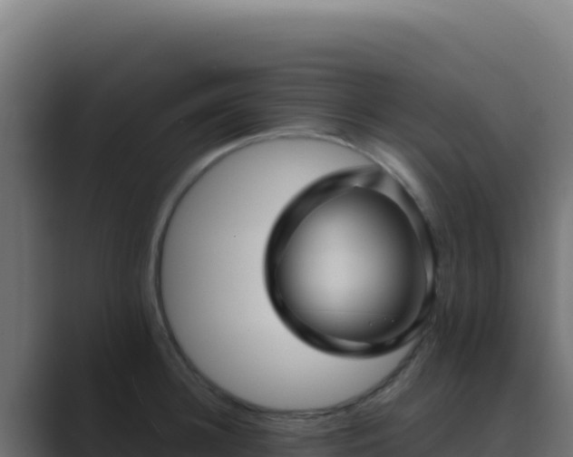 X0000089750948200706281623