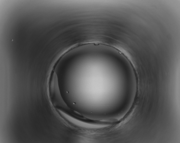 X0000089750949200706281623