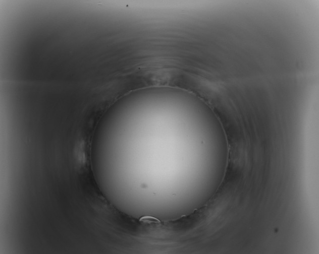 X0000089750962200706281623