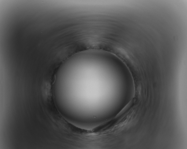 X0000089750964200706281623