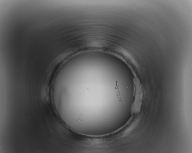 X0000089750970200706281622