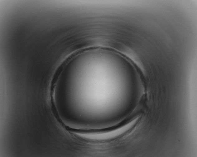 X0000089750972200706281622