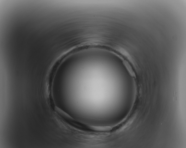 X0000089750973200706281622