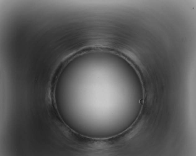 X0000089750974200706281622