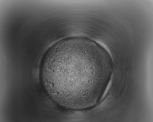 X0000089750975200706281622