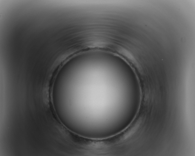 X0000089750978200706281622