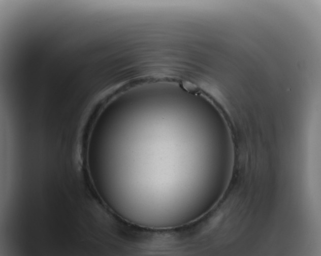 X0000089750979200706281622