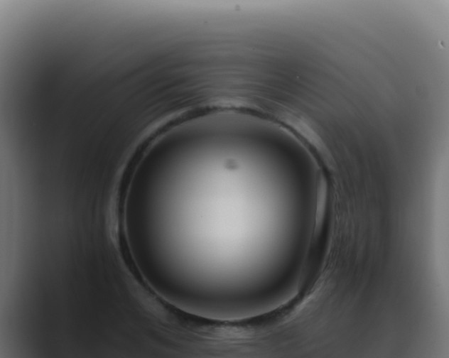 X0000089750984200706281622