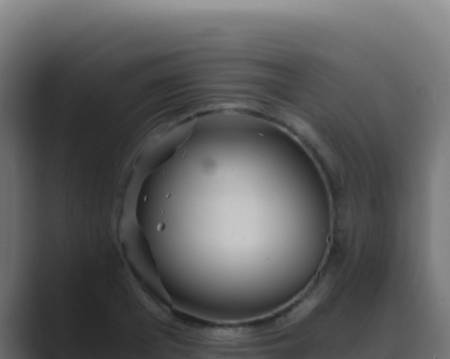 X0000089750985200706281622