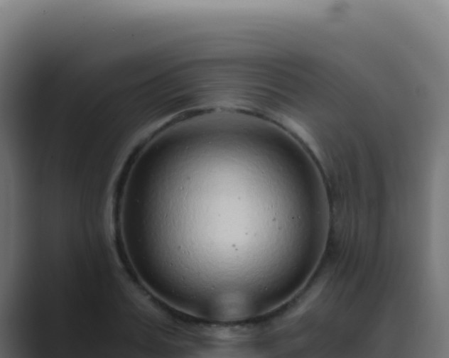 X0000089750987200706281622