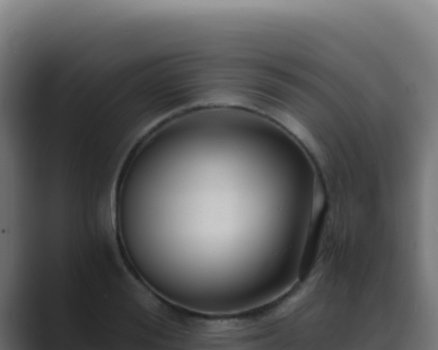 X0000089750988200706281622