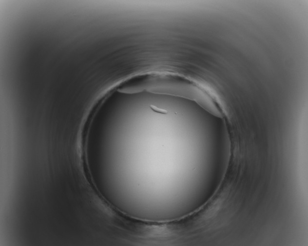 X0000089750990200706281622