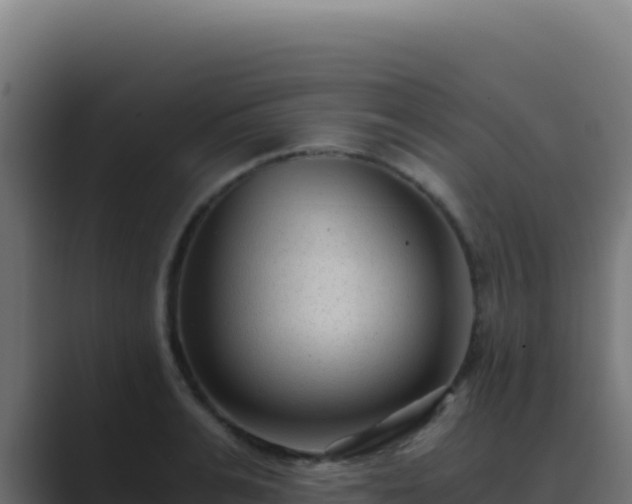 X0000089750991200706281622