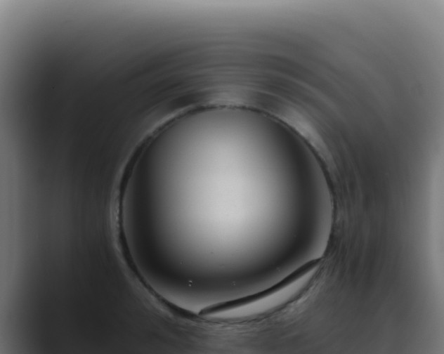 X0000089750992200706281622