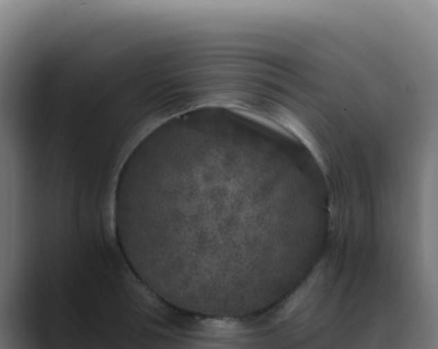 X0000089750994200706281622