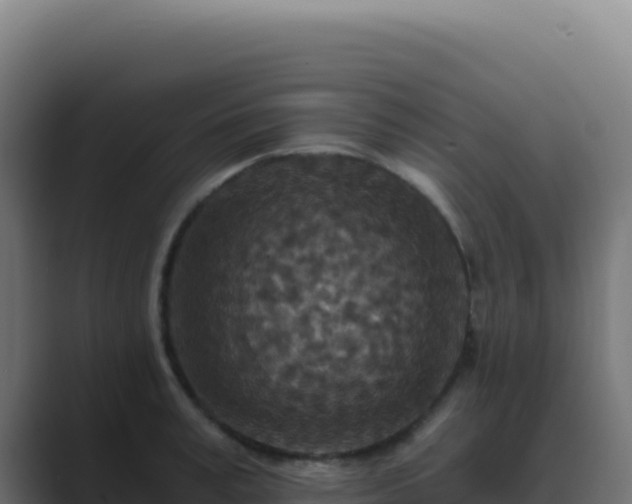 X0000089750995200706281622