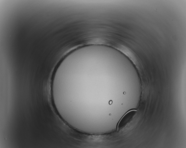 X0000089751000200706281622