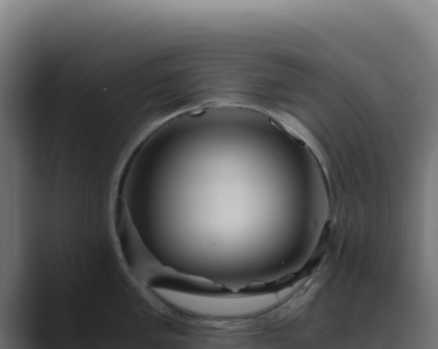 X0000089751005200706281622