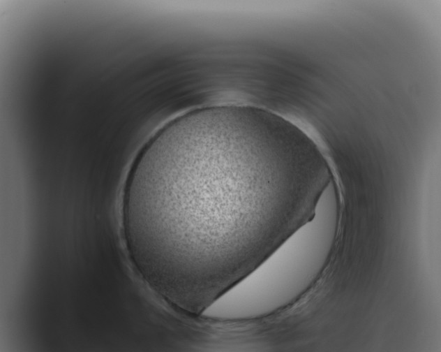 X0000089751008200706281622