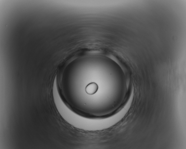 X0000089751010200706281621