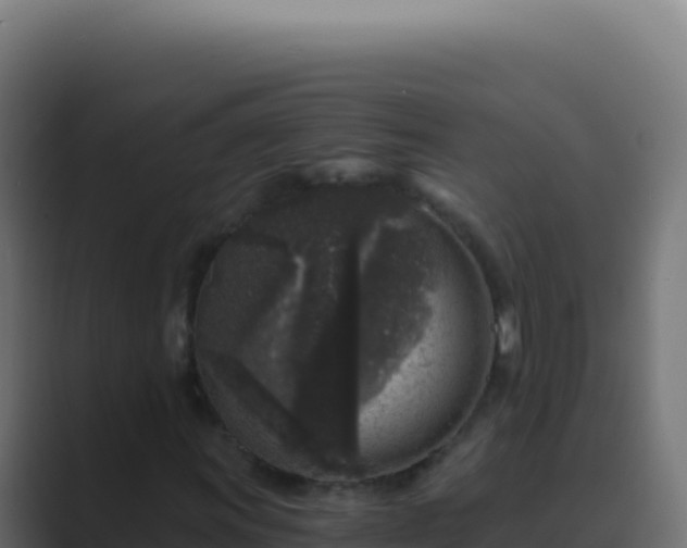 X0000089751011200706281621