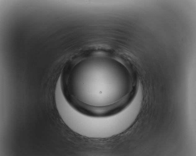 X0000089751014200706281621
