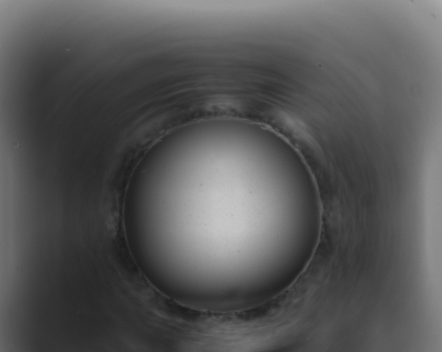 X0000089751015200706281622