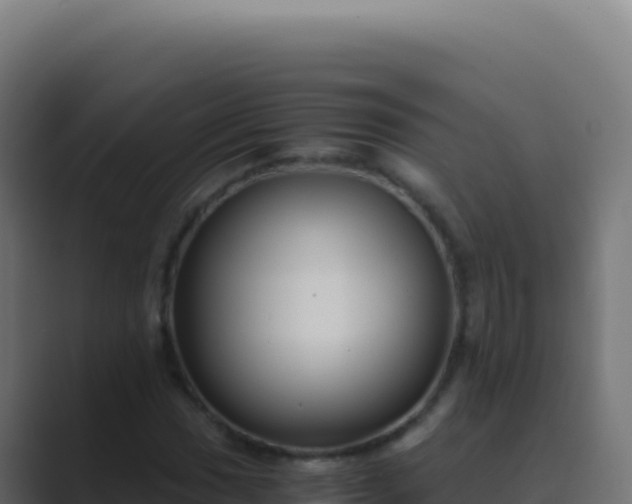 X0000089751017200706281622