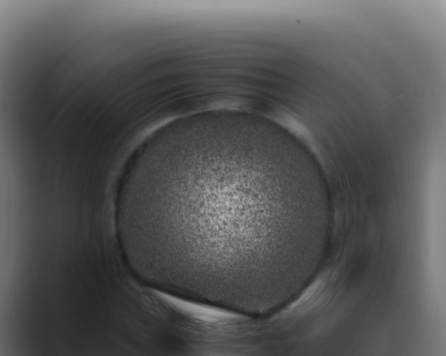 X0000089751019200706281622