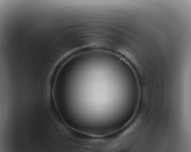 X0000089751021200706281622