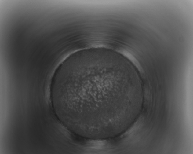 X0000089751023200706281622