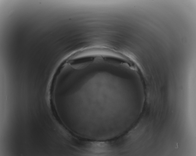 X0000089751024200706281622
