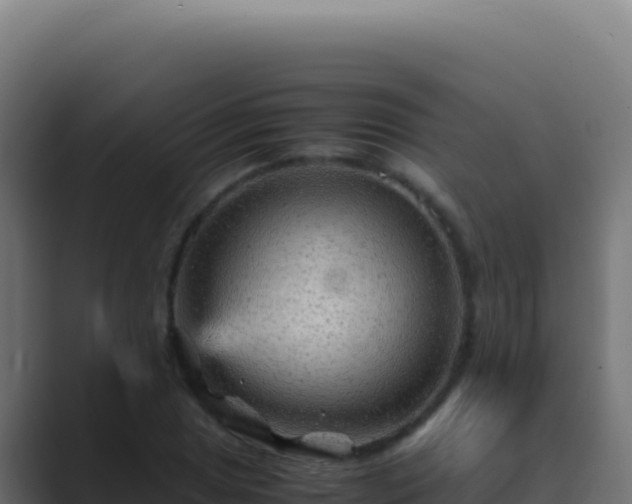 X0000089751025200706281622