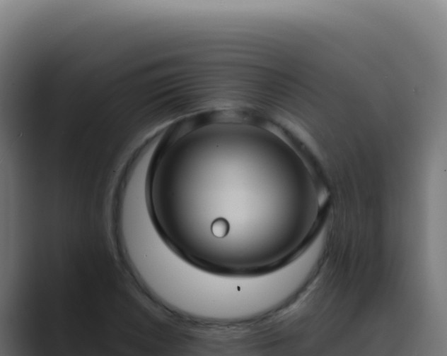X0000089751026200706281622