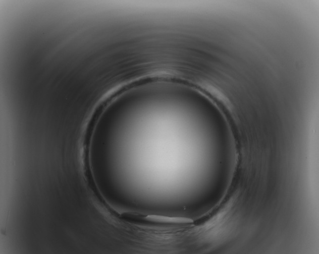 X0000089751029200706281622