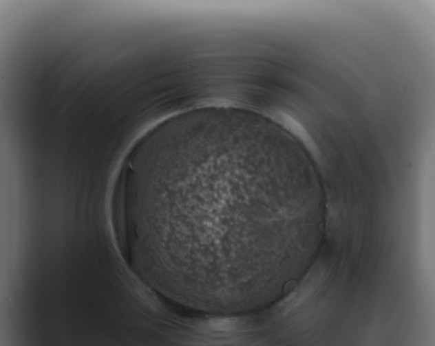 X0000089751035200706281622