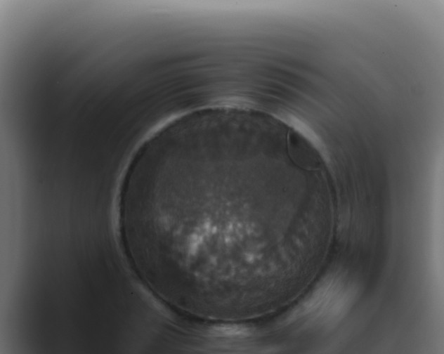 X0000089751037200706281622