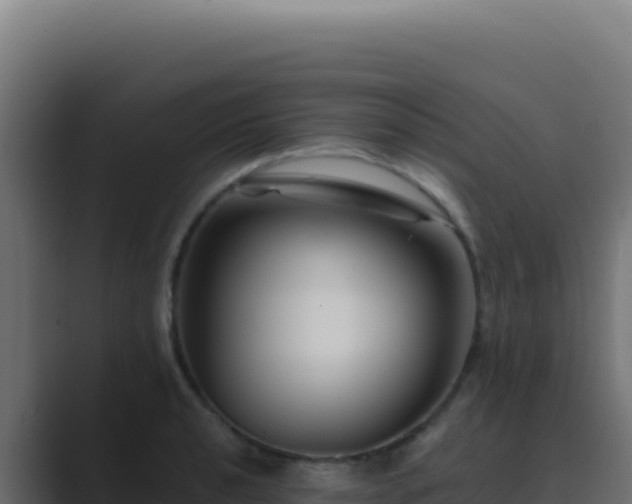 X0000089751040200706281622