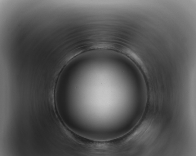 X0000089751041200706281622