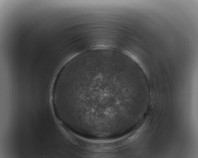 X0000089751042200706281622