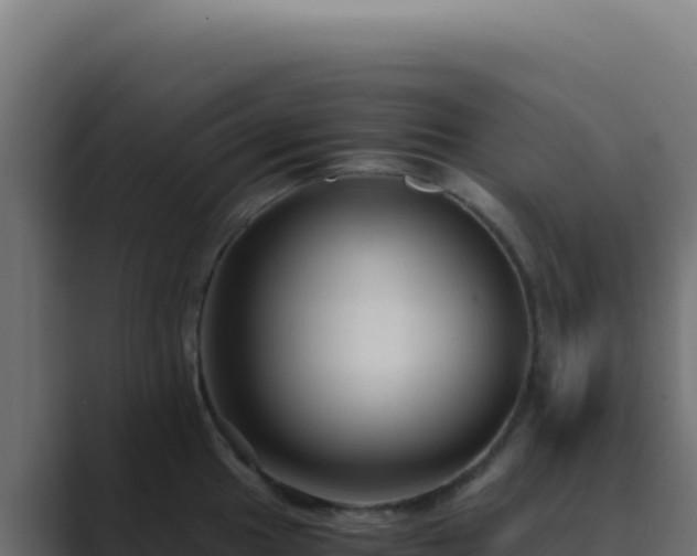 X0000089751049200706281622