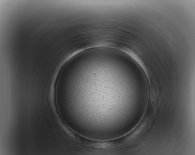 X0000089751053200706281622