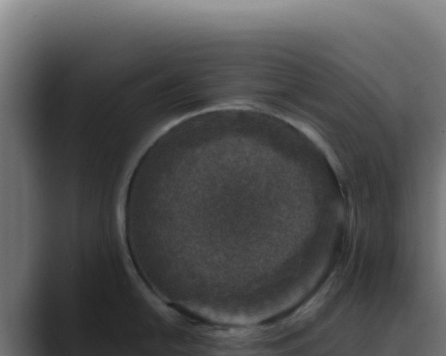 X0000089751054200706281622