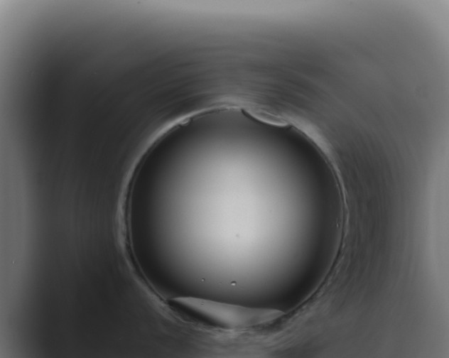 X0000089751056200706281622
