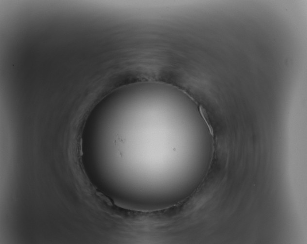 X0000089751057200706281621